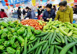 食用農(nóng)產(chǎn)品價格止?jié)q回落，市場供需趨于平衡
